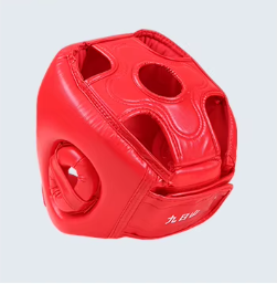 Casque de Protection WESING