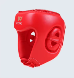 Casque de Protection WESING